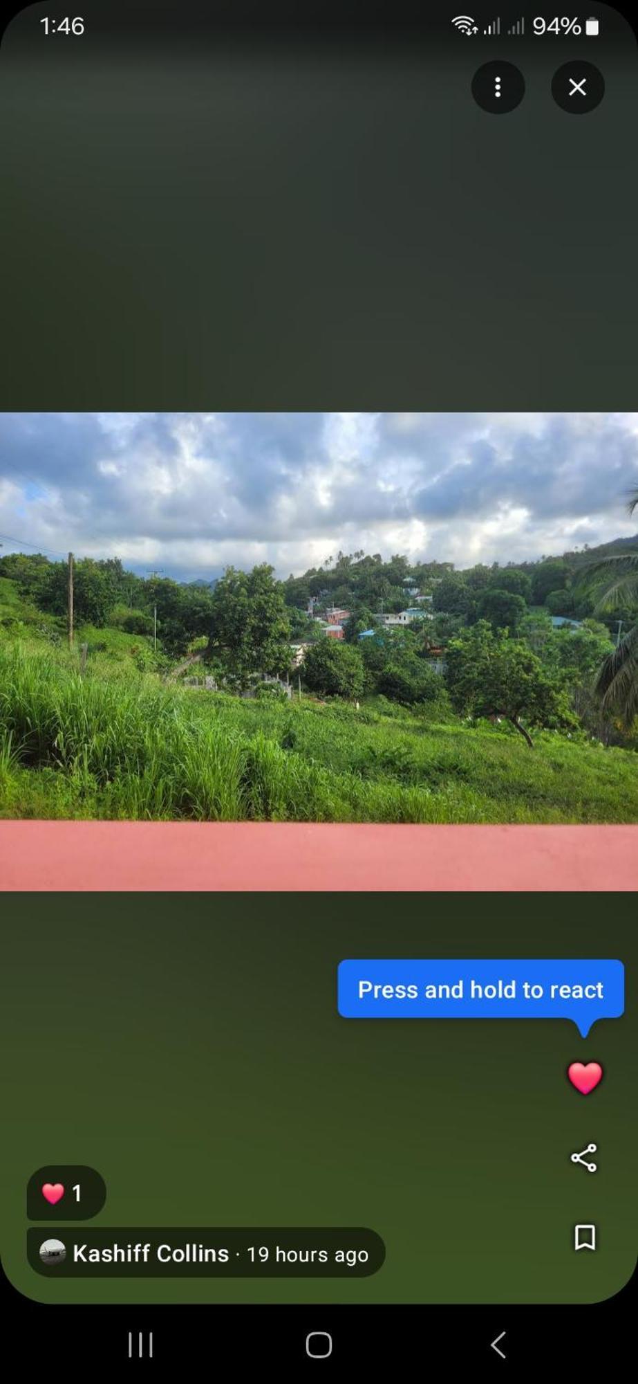 Marigot Natrue'S Haven B&B 외부 사진