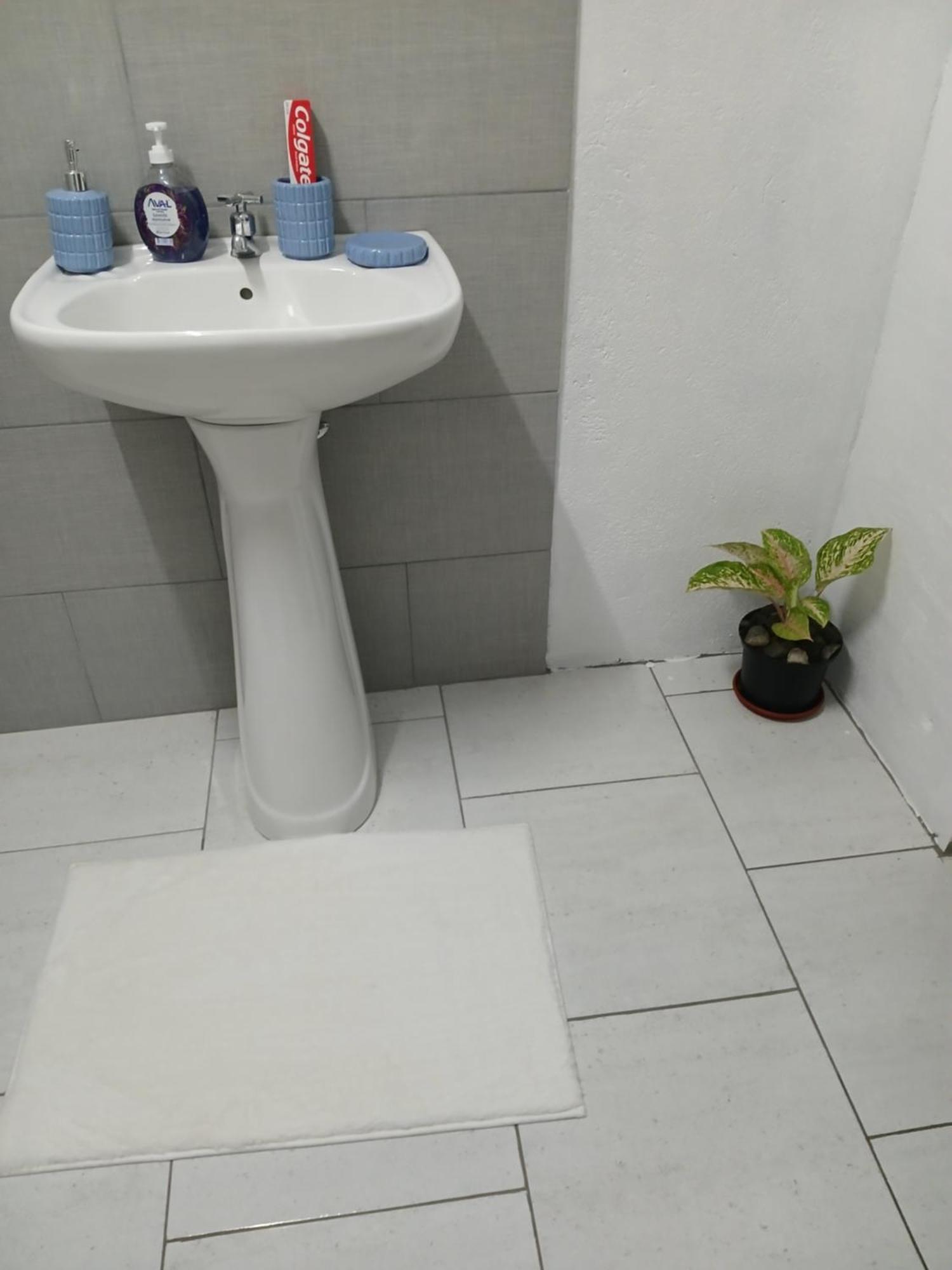 Marigot Natrue'S Haven B&B 외부 사진