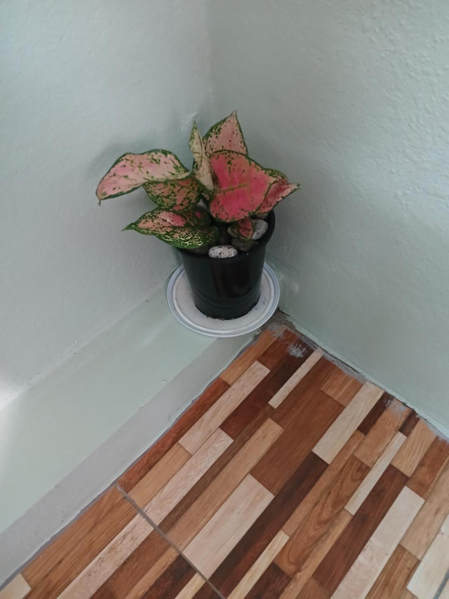 Marigot Natrue'S Haven B&B 외부 사진